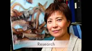 Christina Cheng