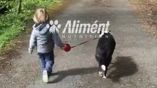 Aliment Head To Tail Range - Supplements For Pets