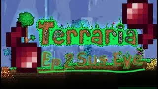 Terraria Accident with a Sus Eye