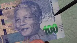 South Africa - Animals Of South Africa - 100 Rand Note