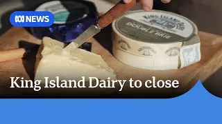 Iconic King Island Dairy to shut next year | ABC News