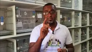 A FÊMEA PÔS OVOS SEM CRUZAR, O QUÊ FAZER ???
