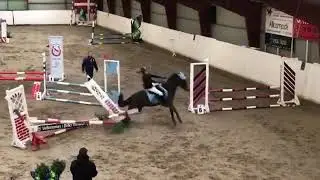 Horse comedy - quem avariou o sensor de estacionamento?