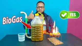 Amazing Biogas making idea using Cow dung at home