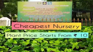 Cheapest Plant Nursery | Plant Names & Prices | Vellore