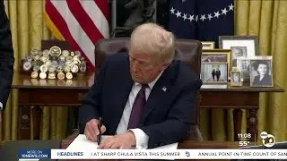 Trump targets 'critical race theory' and 'gender ideology' in K-12 schools