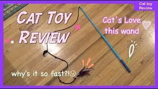 Cat toys review (Wanda)