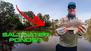FISHING in CHARLESTON, SC in SALTWATER PONDS!