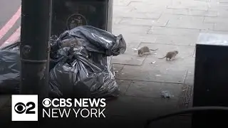 NYC hosts first-ever National Urban Rat Summit