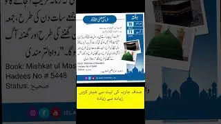 Aaj ki Youmia Hadees #hadees #hadeesenabwiﷺ #HadithWisdom