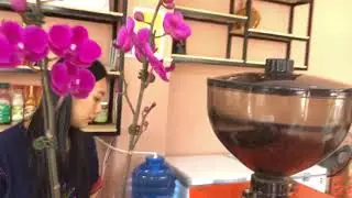 NFX1 & NGUY&Ecirc;N VỊ COFFEE