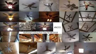 (KINDA LATE) NCFD AND 200 SUBSCRIBERS SPECIAL: Fans In My Collection (9/19/2018)