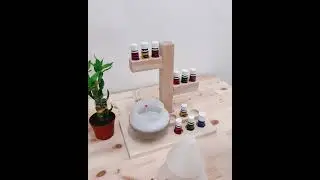 Diffuser Essential oils Rack