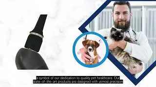 Revolutionizing Pet Healthcare - Reescope Otoscope
