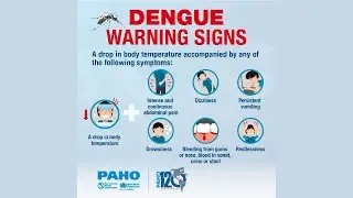 More Dengue Cases