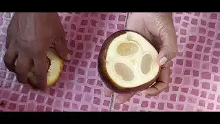 Nungu easy cutting at home | Nungu vetuvathu epadi | Palm cutting | #shorts | #youtubeshorts