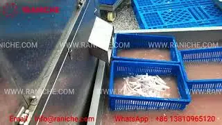 chicken feet processing line cutting part
