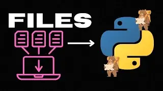 #15 File Handling in Python: The Treasure Map of Data