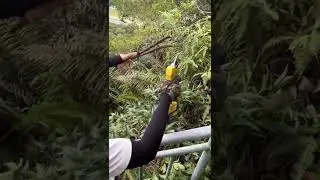 IMOUMLIVE Electric Pruning Shears