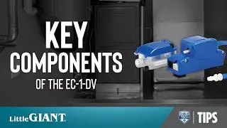 9 Key Components of the Little Giant EC-1-DV Mini Split Condensate Pump