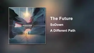 SoDown - The Future