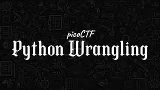 picoCTF: Python Wrangling