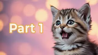 Funny cats compilation (Part 1)
