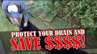 Best Root Barrier Technique $$ Saves Thousands