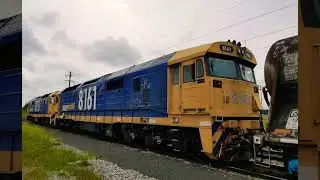 lets have a look at the NSWR 81 class diesel electric locomotive.