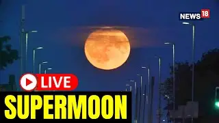 Supermoon LIVE | A Pair Of Supermoons Culminate In A Rare Blue Moon In South Africa | Supermoon 2023