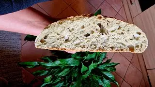 Part 2: Sourdough bread journey colour inclusion, cold fermentation to oven bake: Result and extras!