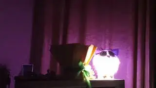 24.01.26  гЧЕ 