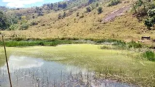 PROPRIEDADE VENDIDA - Fazenda com 33,20 alqueires (160,6880 há.) em Ataléia-MG