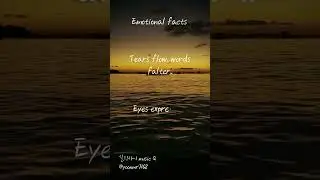 Факты эмоций Ответ на вопрос / Emotional Fact Question Answer #Музыка #Стресс #shorts