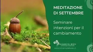 Meditazione di settembre - Richiamo del Bosco