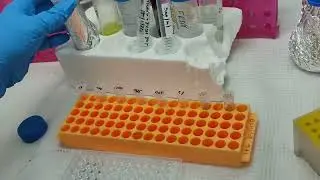 Antioxidant activity DPPH