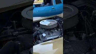 #corvette #bbc #bigblockchevy #showcar #musclecar #performancecar #sportscar #carshow #427
