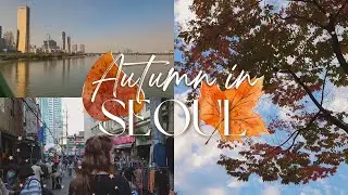 autumn in seoul 2022 🍁 + my birthday || part 1