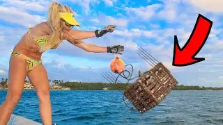 MASSIVE CRABS in Our Pots!!😀 Florida STONE CRAB Catch and Cook