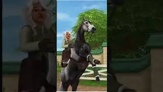 План действий &ndash; Январь, Неделя 1 - Коннемара #ssoupdate #horse #ssocommunity
