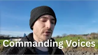 Commanding Voices (Psychosis)