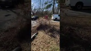 Leaf clean up&rsquo;s been going good!