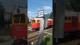 ТУ2 084 после кап. ремонта. ЧДЖД. Перегон Водная - Лесная. Лето 2025 года.