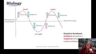 GCSE Biology revision livestream