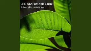 Pure Piano Music Relaxation