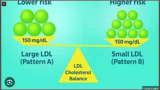 The Statin Controversy