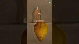 Wine Making Process 😮