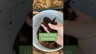 IN - BED VERMICOMPOSTING: Make castings and compost directly in your garden bed