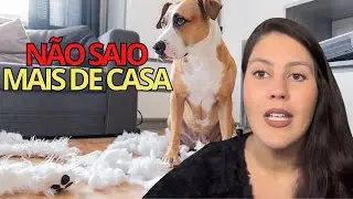 Ansiedade por separa&ccedil;&atilde;o, melhor usar rem&eacute;dio ou n&atilde;o? 