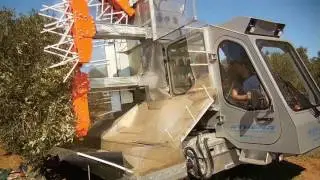 ANDREOLI ENGINEERING - ATHENA